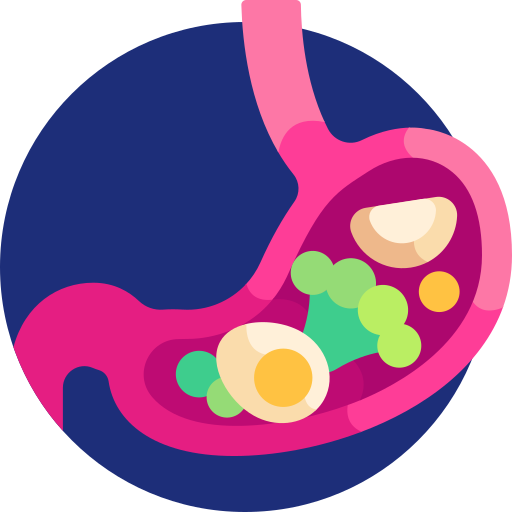 Digestive 