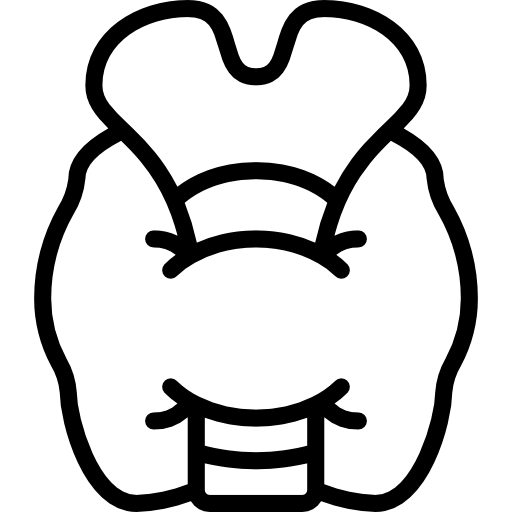 Thyroid 